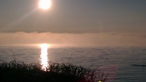 IMAG0581